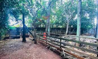 Imagem 5: Lote/Terreno para venda com 683 metros quadrados em Ribeirânia - Ribeirão Preto - SP