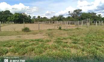 Imagem 6: Fazenda com aptidão para irrigação na região de Guaraí - TO
