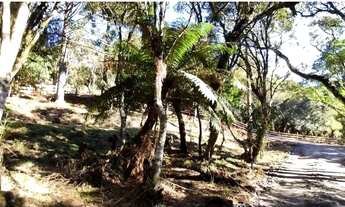 Imagem 6: Casa para venda- Urubici - Santa Catarina