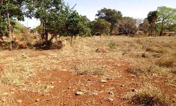 Imagem 3: Área com 9.860 m² ao lado da GO - 070 Saída para Goianira