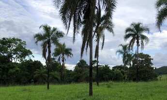 Imagem 5: Fazenda 8 alqueires - Itaberaí - Goiás formada