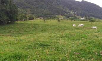 Imagem 7: Terreno de 9,5 HE em Tijucas - SC