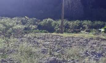 Imagem 4: Vendo terreno em Guaramiranga 10 x 40