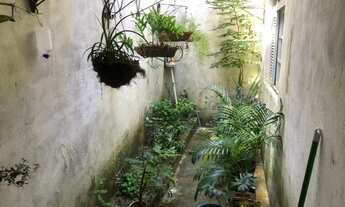 Imagem 6: 2 casas, 600m² de terreno, 7 pontos comerciais na Iputinga!