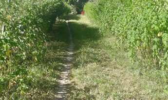 Imagem 2: Vendo terreno em Guaramiranga 10 x 40