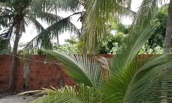 Imagem: Casa com terreno e quartos no quintal