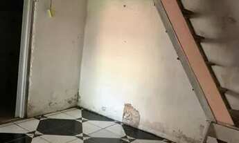 Imagem 5: Alugo casa na rua das rosas