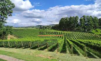 Imagem 7: CASA PARA ALUGAR EM JOAQUIM EGIDIO