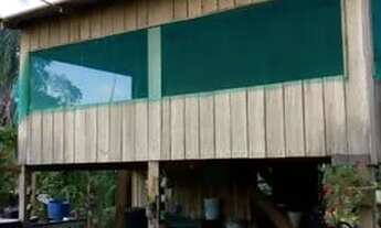 Imagem 2: Sitio samauma Chácara com venda por R$100.000