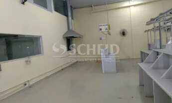 Imagem 3: Alugo galpão industrial no Socorro - SP