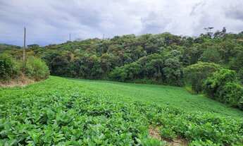 Imagem 2: Chácara 24.200m2 Campo largo/Colônia São João