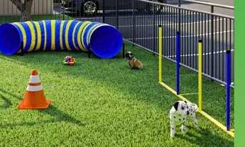 Imagem 6: Apartamento para venda com 62 metros quadrados com 2 quartos em Novo Aleixo - Manaus - AM