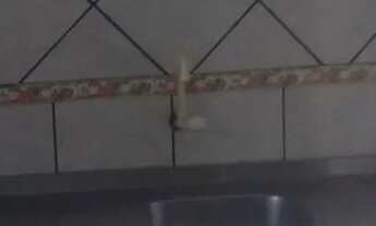 Imagem: Alugo kit mobiliada bairro areias São José