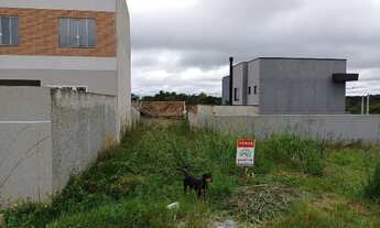 Imagem: Rua Asltaltada - Terreno à venda, 180 m²
