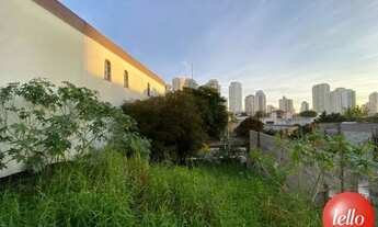 Imagem: São Paulo - Terreno Padrão - Tatuapé