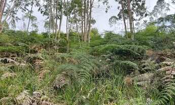 Imagem 4: Terreno em Domingos Martins