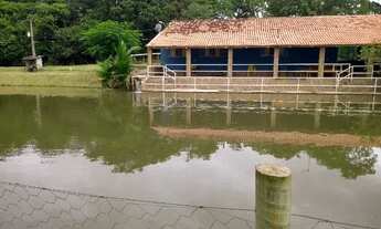 Imagem 6: Vendo chácara de 5 alqueiros 240 mil mts2