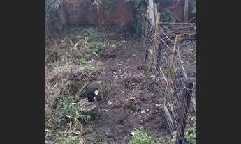 Imagem 3: Casa Casa com 3 dormitórios