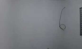 Imagem 6: Alugo 2 Cômodos - Vila Suiça - Lugar bem seguro e tranquilo - Santo André