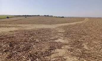 Imagem 5: Lote/Terreno para venda com 2371600 metros quadrados em Nova Tietê - Tietê - SP