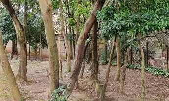 Imagem 2: Apartamento para alugar no bairro Vila Lourdes - São Paulo/SP, Zona Leste