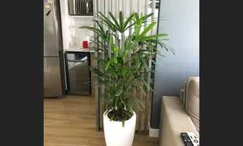 Imagem 7: Soho residence Apartamento com 2 dormitórios