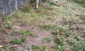 Imagem 4: Sítio Terreno no km 12 do Tauá