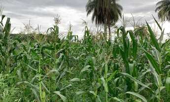 Imagem 7: Baixadão 5.000m², margens do Rio Cipó, terra de qualidade, Serra do Cipó