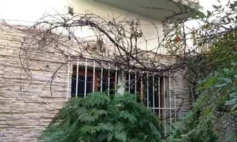 Imagem 2: São Paulo - Casa Padrão - Belenzinho