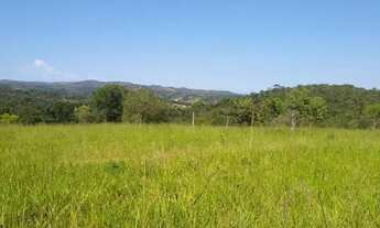 Imagem 2: Chácara 20.000 m², plano, riacho nos fundos, terra fértil. Jaboticatubas