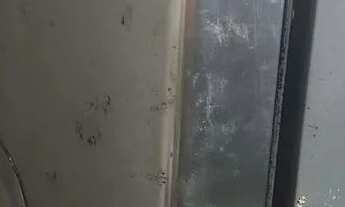 Imagem 3: Geladeira consulta fosfree