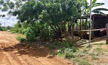 Imagem 6: Vendo urgente Chácara com venda por R$70.000