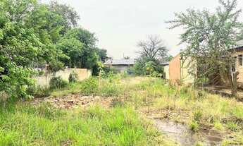 Imagem: FBDG 1331 Lote CV1331