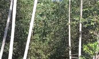 Imagem 5: Sítio no Ramal do Piauí