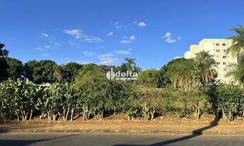 Imagem 5: Área disponível para venda no bairro Chácaras Tubalina E Quartel em Uberlândia-MG