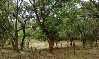 Imagem 5: Lindo Sítio 5,5Hec, 55.000m2, Sede 3 Suítes, Muita Água, Zona Rural - Taquaraçu de Minas