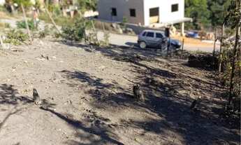 Imagem 2: Lote marmeleiro Terreno / lote com venda por R$70.000