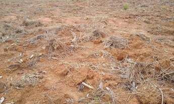 Imagem 4: IMÓVEL RURAL COM 50 HECTARES PRA ARRENDAMENTO PRA PLANTAR CAFE OU GADO, PLANA EM MG!!