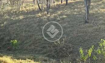 Imagem 2: FAZENDA À VENDA 105,3 HECTARES Localização: Apenas 38 km de Caldas Novas, sendo somente