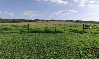 Imagem 2: FAZENDA 7 ALQUEIRES ALEXÂNIA- GO