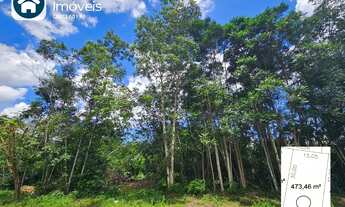 Imagem: Lote Alphaville Manaus 3 - Lote de 473m²