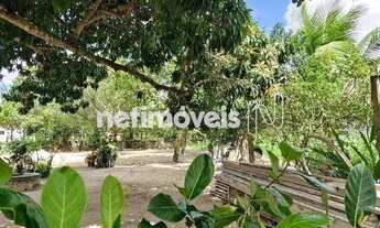 Imagem 6: Venda Lote-Área-Terreno Santo Antônio dos Prazeres Feira de Santana