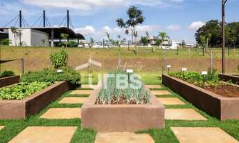 Imagem 11: Lote no Jardins França