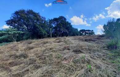 Imagem 6: Terreno Centro Carlos Barbosa