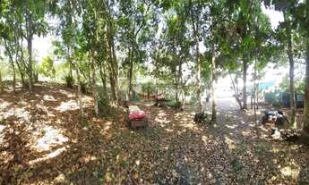 Imagem 3: Sítio a Venda em Florianópolis, bairro Ratones