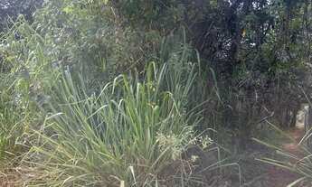 Imagem 3: Imóvel para venda tem 20000 metros quadrados em Lago Sul - Brasília - DF