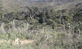 Imagem: Chácara de 20 Hectares na beira da BR-130