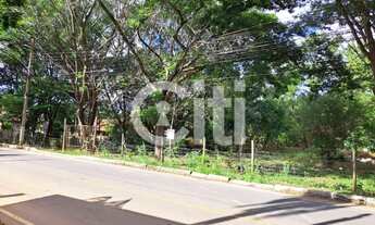 Imagem 3: BAIRRO VILA MARIA