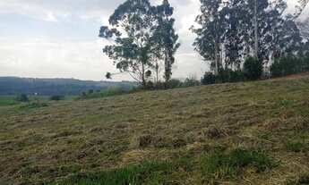 Imagem 2: AREA RURAL em CAMPINAS - SP, JARDIM MARTINELLI (SOUSAS