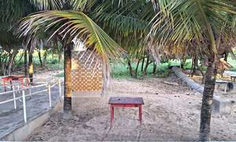 Imagem 6: Vendo bar e restaurante na praia aruana